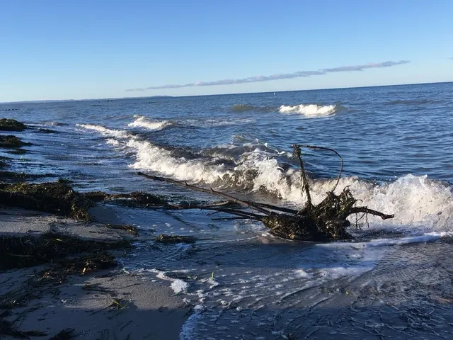 Ferienwohnungen" Zur Schwedenschanze"