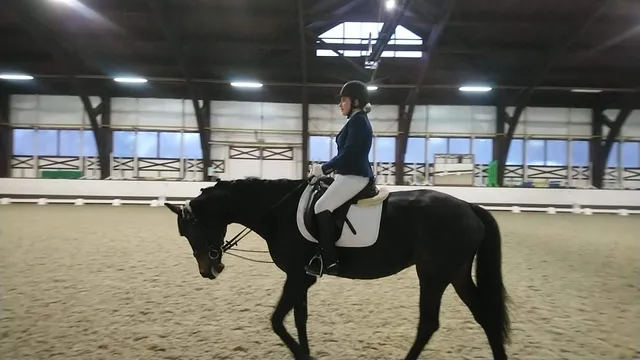 Horse-racing club "Belaya Dacha"