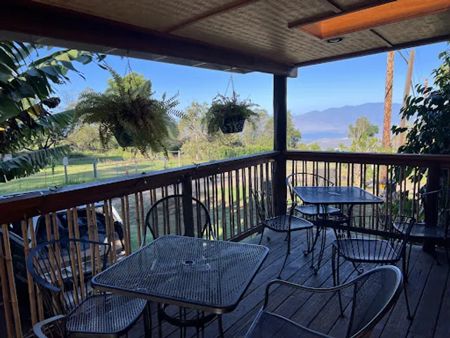 Grandma's Coffee House