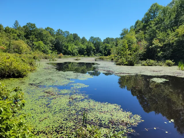 Sloan's Crossing Pond Trailhead