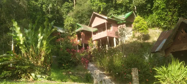 Pak Mus Guest House Ketambe(wa 082185316409)