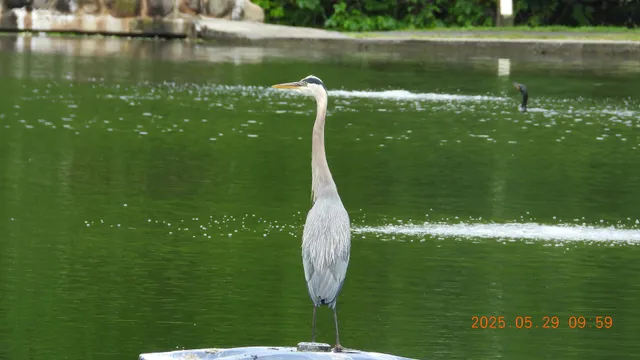 Grover Cleveland Park Playground