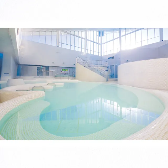 Nagakute Onsen Gozarasse