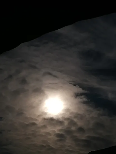 photo-2