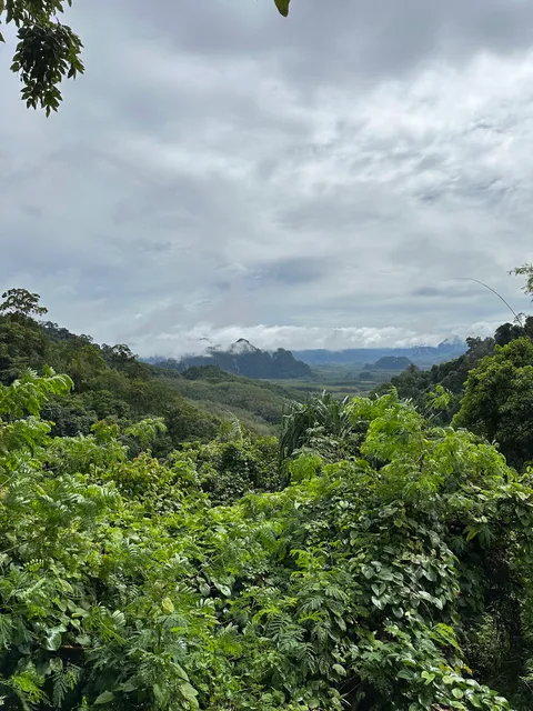 Department of National Park, Wildlife and Plant Conservation