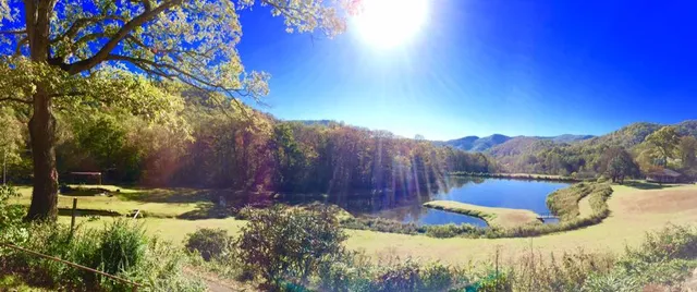 Andy's Trout Farm & Cabins