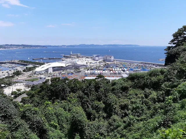 Observatory Square Wood Deck