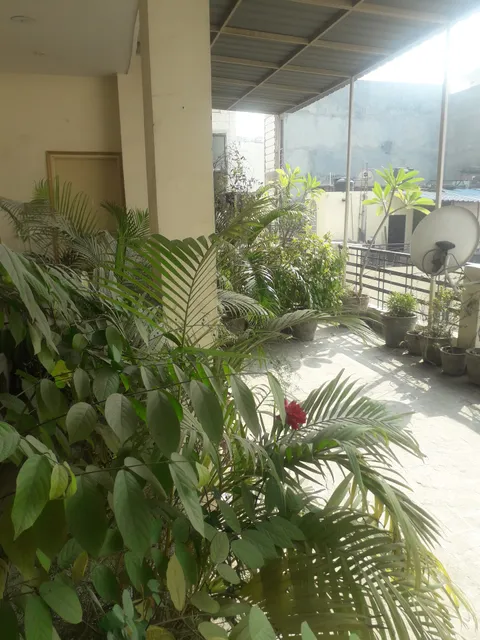 #1962 Rani Bagh - PG | Room on Rent near NSP & Pitampura