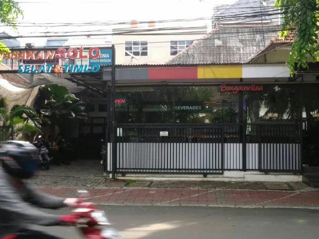 House Of Arsonia Bougainvillea