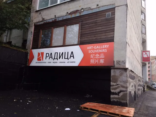 Raditsa Khudozhestvennyy Salon