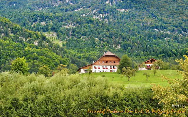 Ferienhof Moabauer Fam Eisl