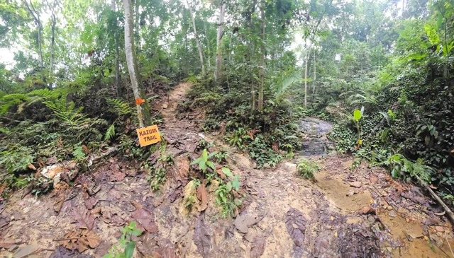 Bukit Dinding Hiking Trail