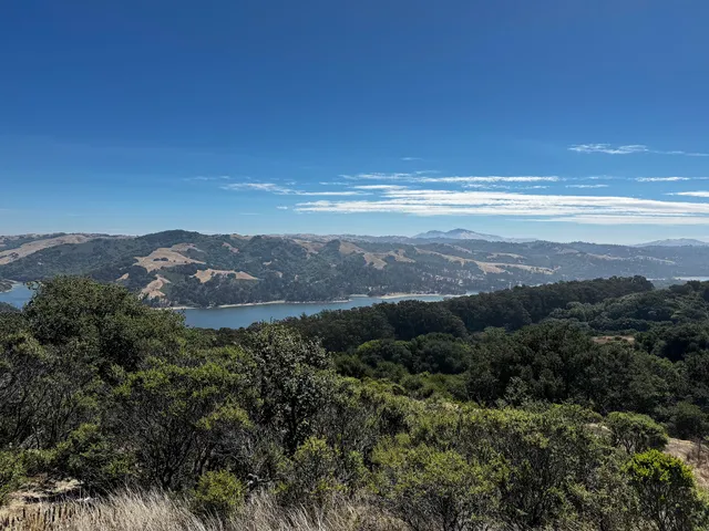 Berkeley Rotary International Peace Grove