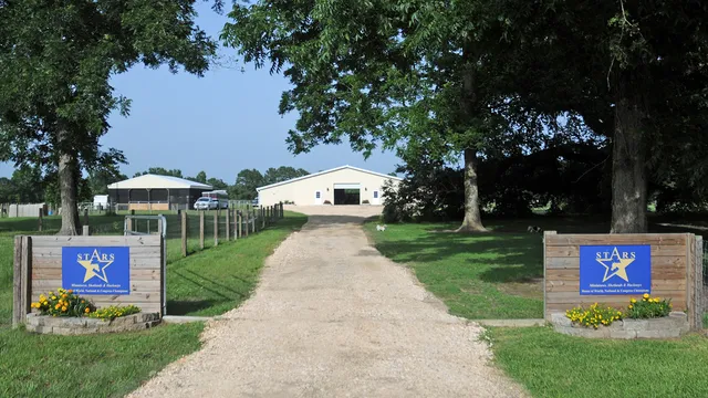 Stars/Three Oaks Goats