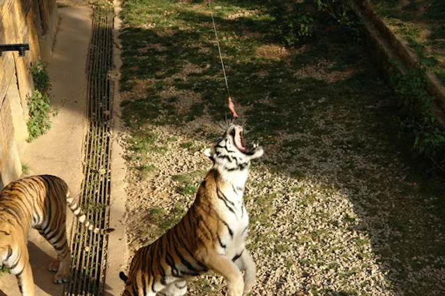 云南野生动物园