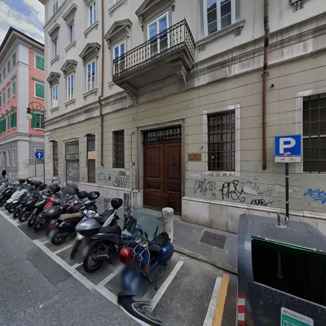 University of the Third Age