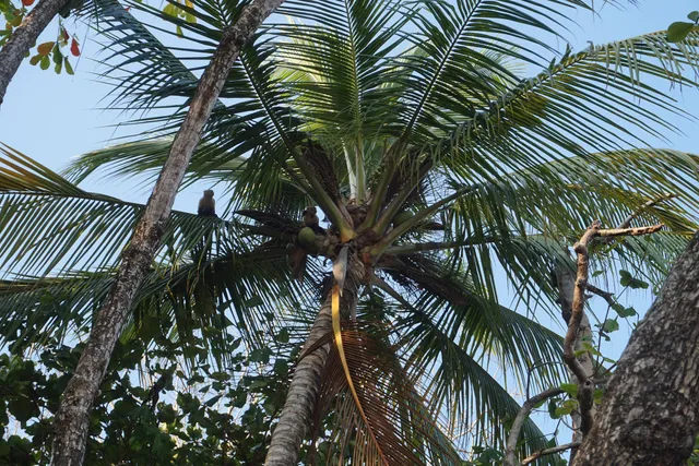 Angelika´s Guest House