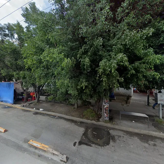 Tacos de canasta "Don Felix"