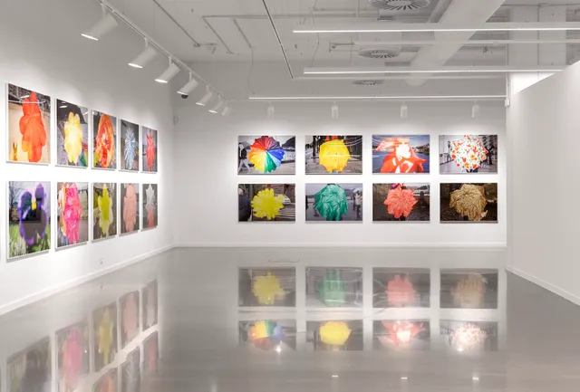 Kutxa Kultur Artegunea