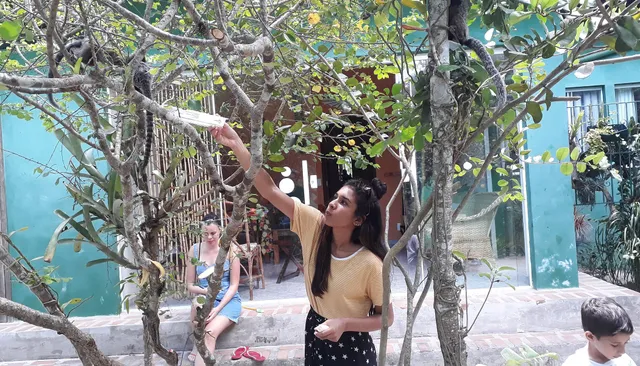 Casa Tartaruga Verde