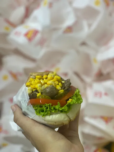 Julio Lanches Piçarras