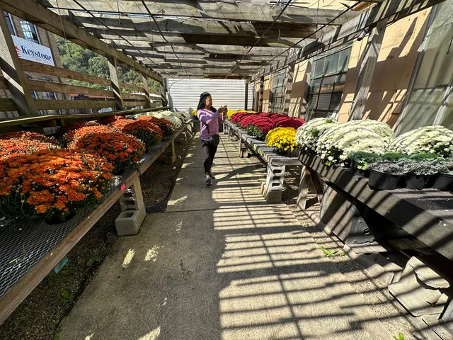 Beaver County Fruit Market