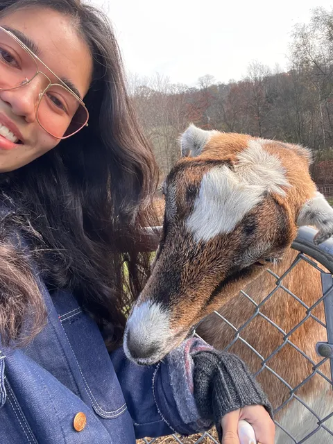 Brookfields Farm Of Goshen