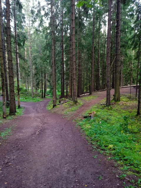 Памятник природы «Токсовские высоты»