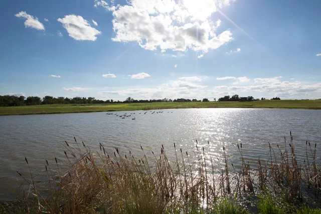 The Village of Bayberry