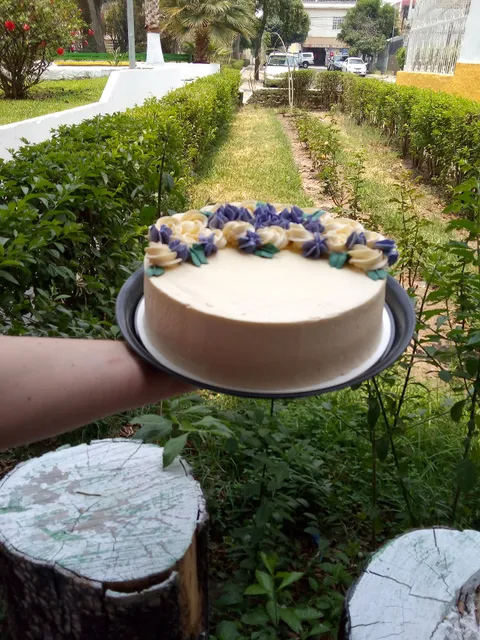 Pasteleria y cafeteria D'Joanis