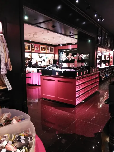 Victoria's Secret & PINK