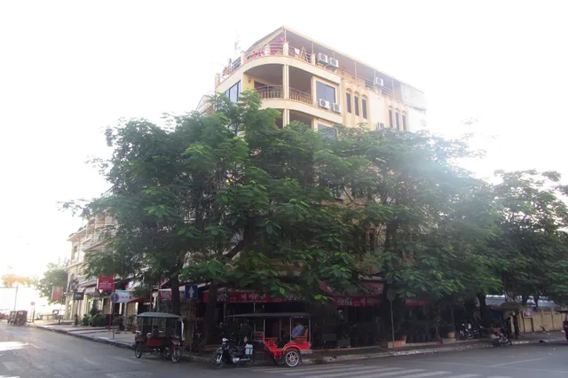 The Bright Lotus Guesthouse