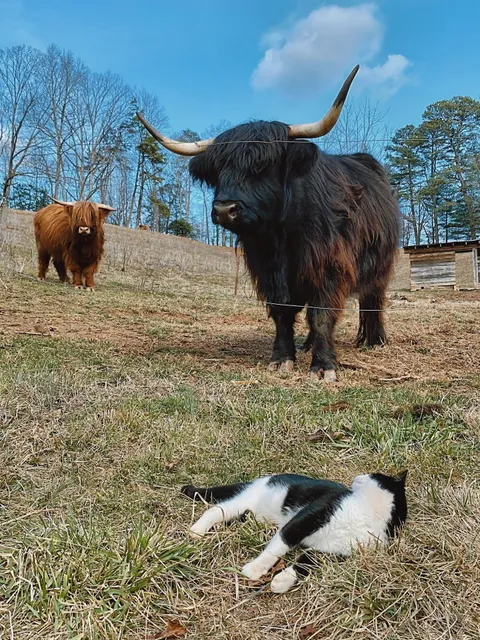 Highland Hills Farm LLC