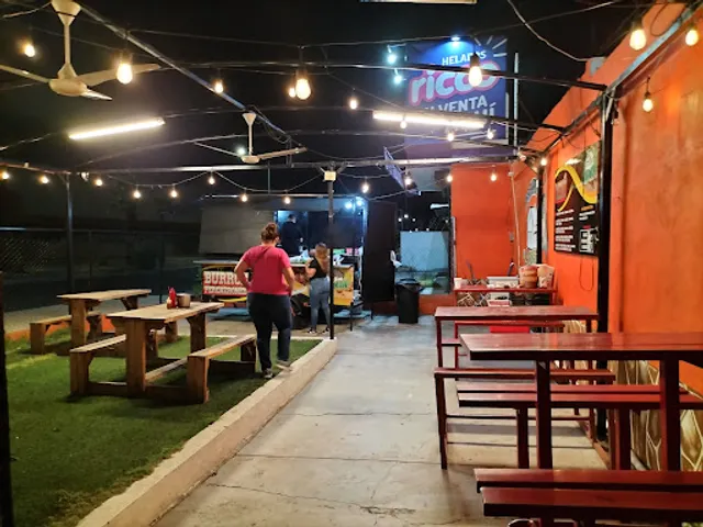 Burros Percherones La Casita