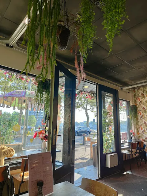 Hemels ijs - Ambachtelijk Schepijs, Koffie, Gebak & Tosti's