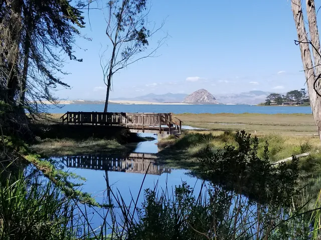 Morro Coast Audubon Society Sweet Springs Nature Preserve
