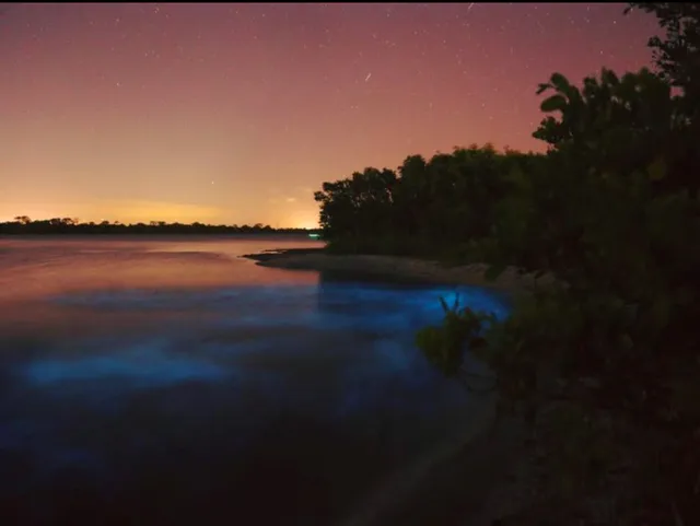 Bioluminescence Tours - Cocoa Beach