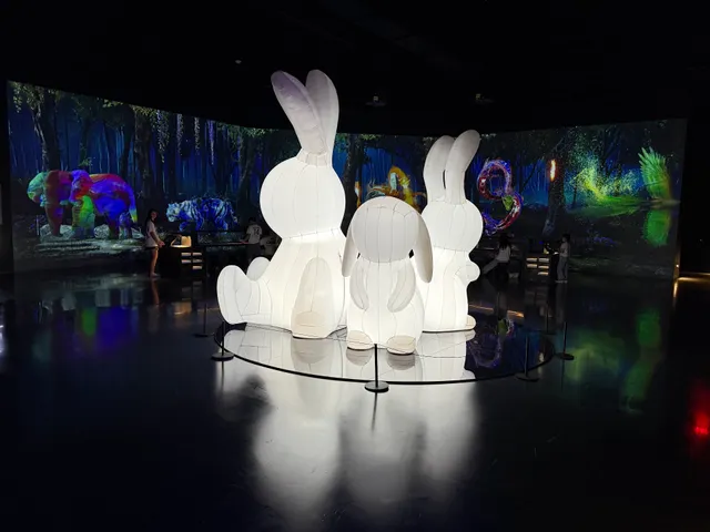 Arte Museum New York