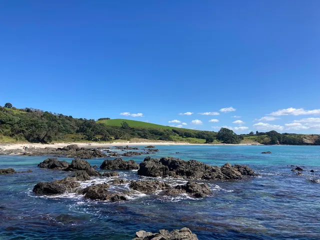Tawharanui Marine Reserve