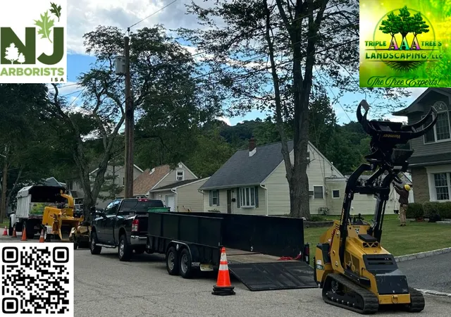 Triple AAA Tree's Landscaping