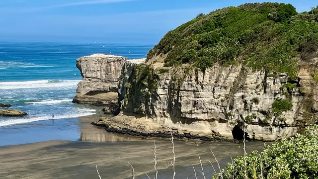Muriwai Gannet Colony Beach