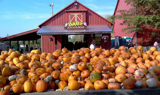 Bengtson's Pumpkin Farm and Fall Fest