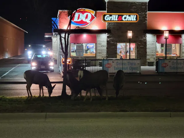 Dairy Queen Grill & Chill