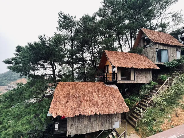 Pine Hill Homestay- Đồi Thông Homestay Tam Đảo