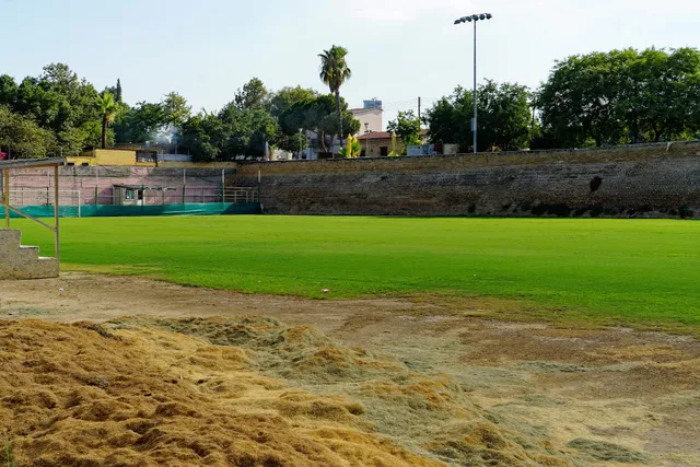 Orphea's Football Pitch