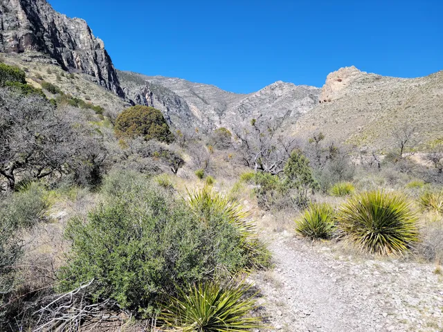 Pine Springs Trailhead