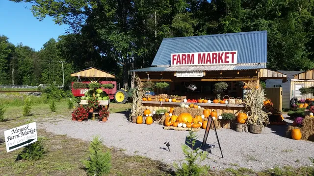 Moyock Farm Market