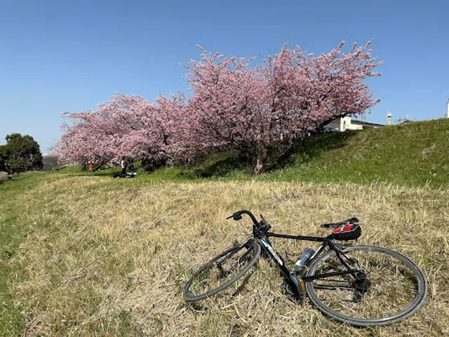Tamagawa Recreation Ground