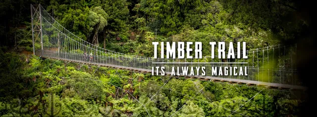 Timber Trail New Zealand