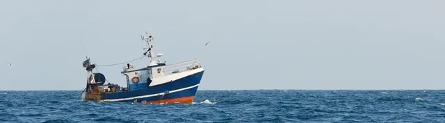 Robbie's Marina of Key West